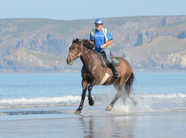 Nolton Stables Beach Riding Holidays
